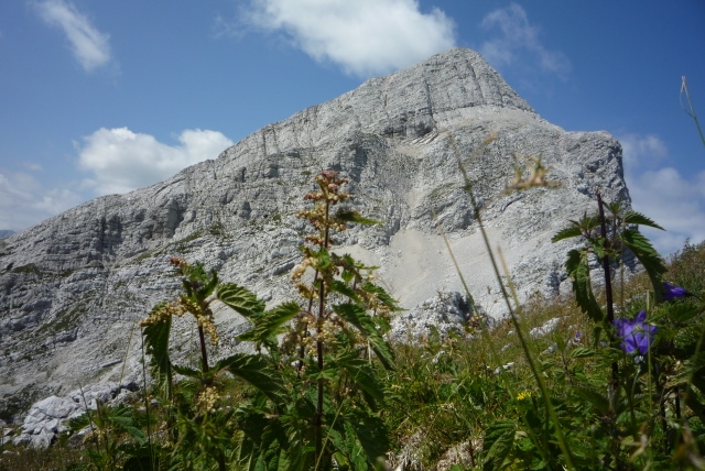 Malá Mojstrovka v Júlskych Alpách